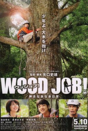 Постер Работа с древесиной!