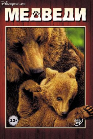 Постер Медведи